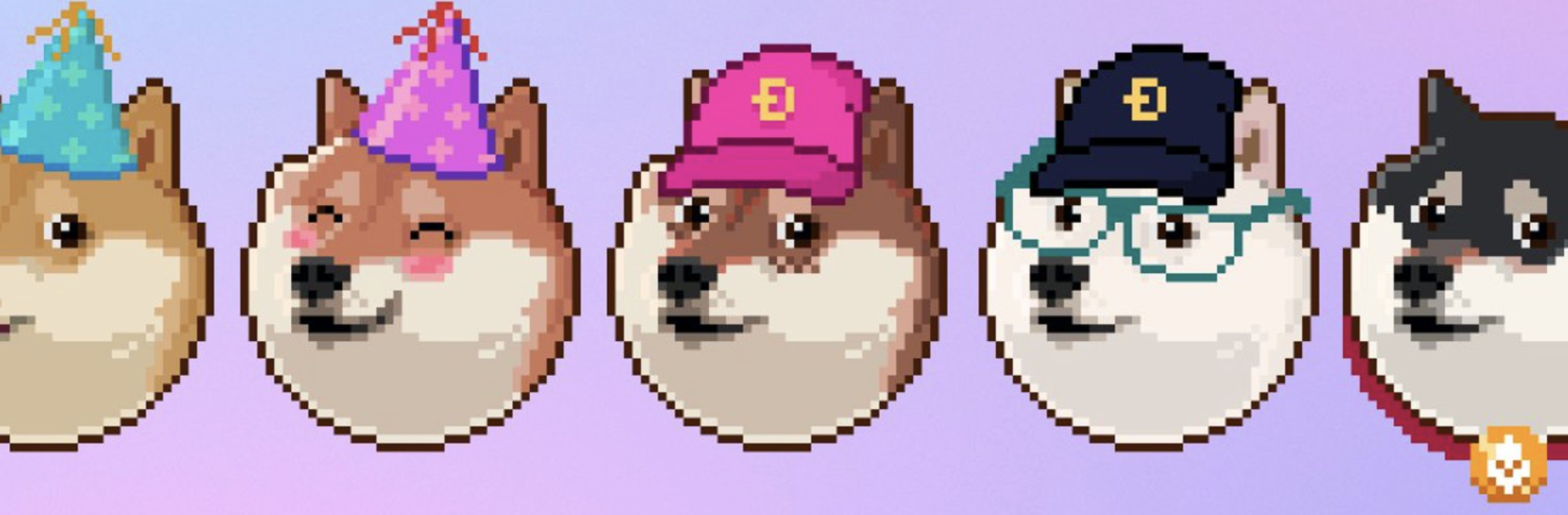 Doge Gallery